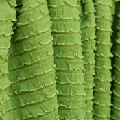 Image of Kiwi Mini Ruffle Fabric 